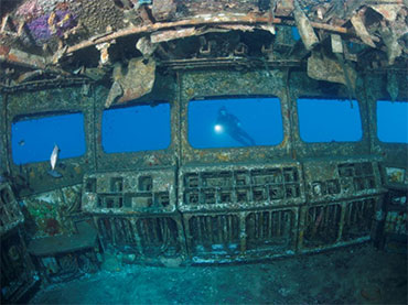 Dive the Bay of Islands